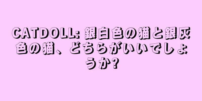 CATDOLL: 銀白色の猫と銀灰色の猫、どちらがいいでしょうか?