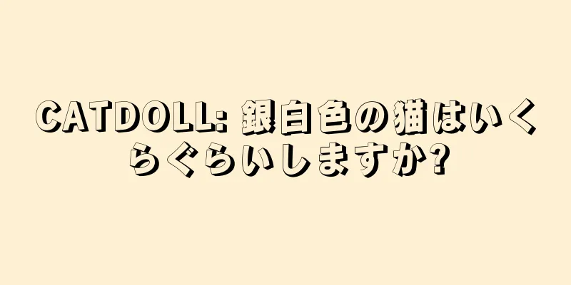 CATDOLL: 銀白色の猫はいくらぐらいしますか?