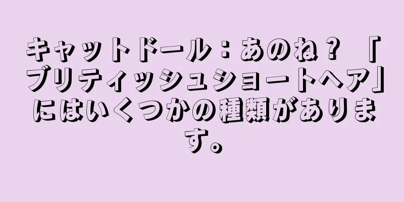キャットドール：あのね？ 「ブリティッシュショートヘア」にはいくつかの種類があります。