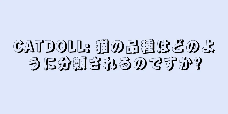 CATDOLL: 猫の品種はどのように分類されるのですか?