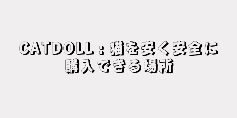 CATDOLL : 猫を安く安全に購入できる場所