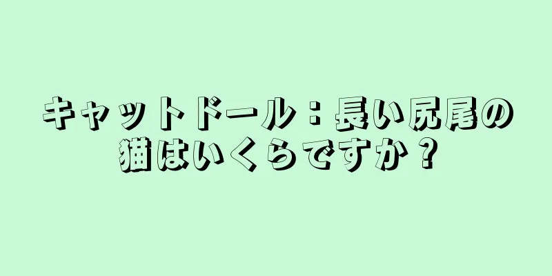 キャットドール：長い尻尾の猫はいくらですか？