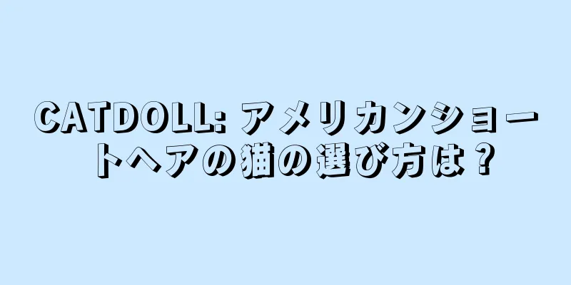 CATDOLL: アメリカンショートヘアの猫の選び方は？
