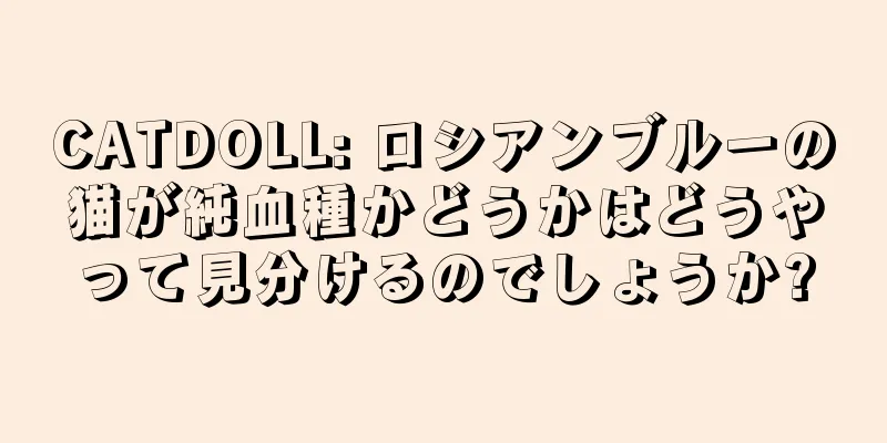 CATDOLL: ロシアンブルーの猫が純血種かどうかはどうやって見分けるのでしょうか?