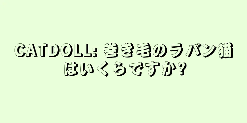 CATDOLL: 巻き毛のラバン猫はいくらですか?
