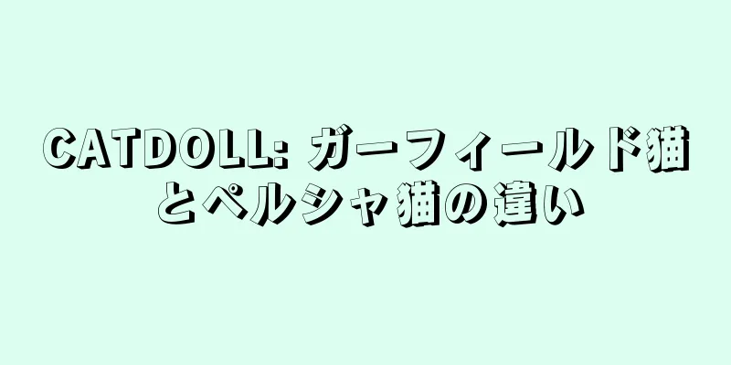 CATDOLL: ガーフィールド猫とペルシャ猫の違い