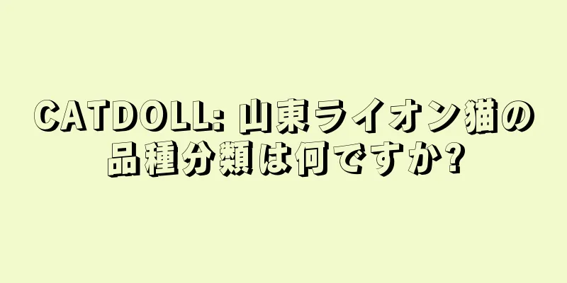 CATDOLL: 山東ライオン猫の品種分類は何ですか?