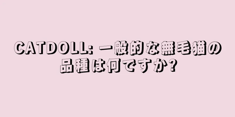 CATDOLL: 一般的な無毛猫の品種は何ですか?