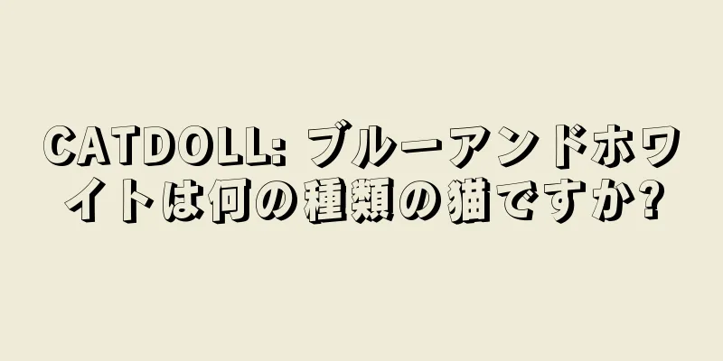 CATDOLL: ブルーアンドホワイトは何の種類の猫ですか?
