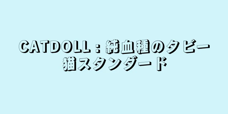 CATDOLL : 純血種のタビー猫スタンダード