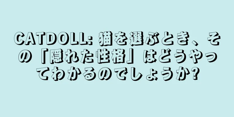 CATDOLL: 猫を選ぶとき、その「隠れた性格」はどうやってわかるのでしょうか?