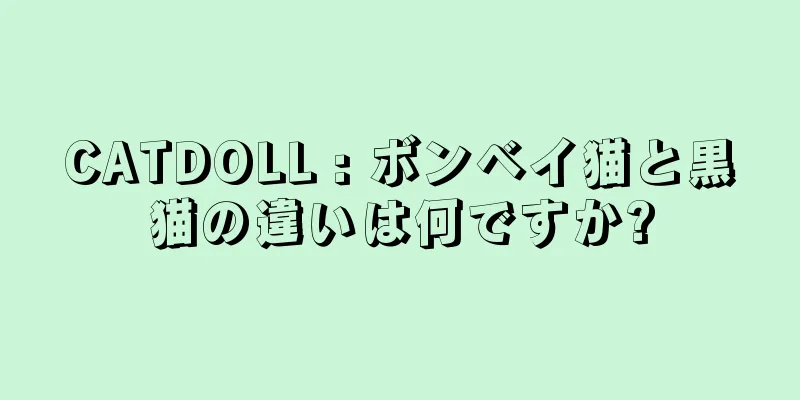 CATDOLL : ボンベイ猫と黒猫の違いは何ですか?