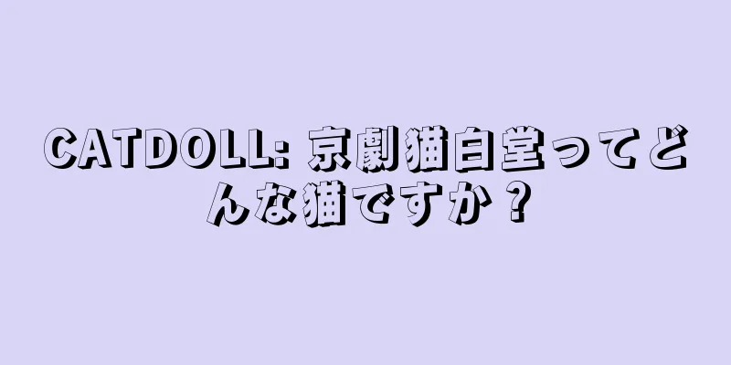 CATDOLL: 京劇猫白堂ってどんな猫ですか？