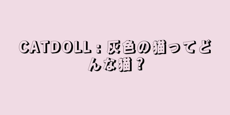 CATDOLL : 灰色の猫ってどんな猫？