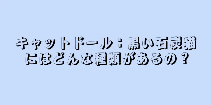 キャットドール：黒い石炭猫にはどんな種類があるの？