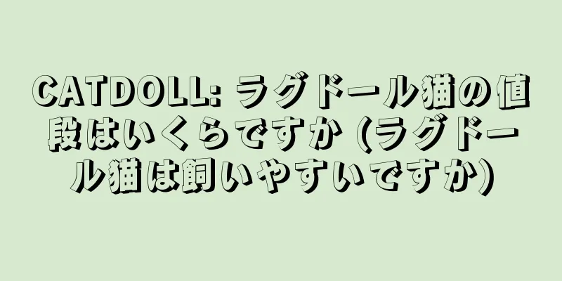 CATDOLL: ラグドール猫の値段はいくらですか (ラグドール猫は飼いやすいですか)