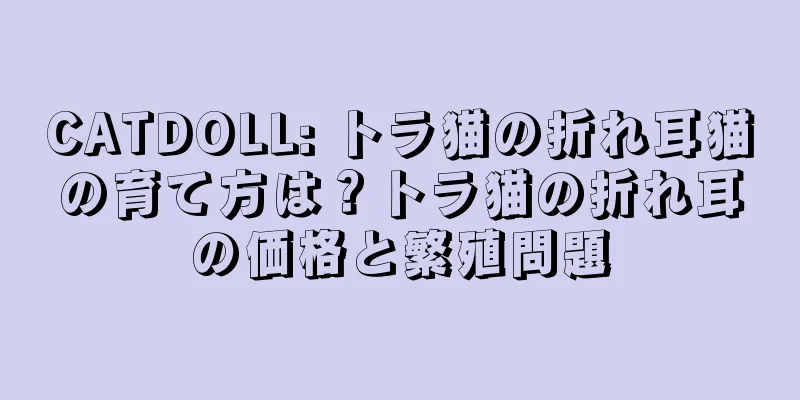 CATDOLL: トラ猫の折れ耳猫の育て方は？トラ猫の折れ耳の価格と繁殖問題