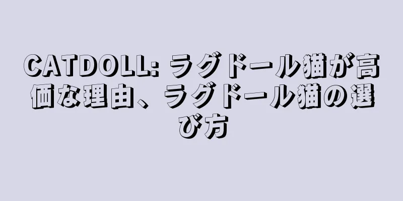 CATDOLL: ラグドール猫が高価な理由、ラグドール猫の選び方