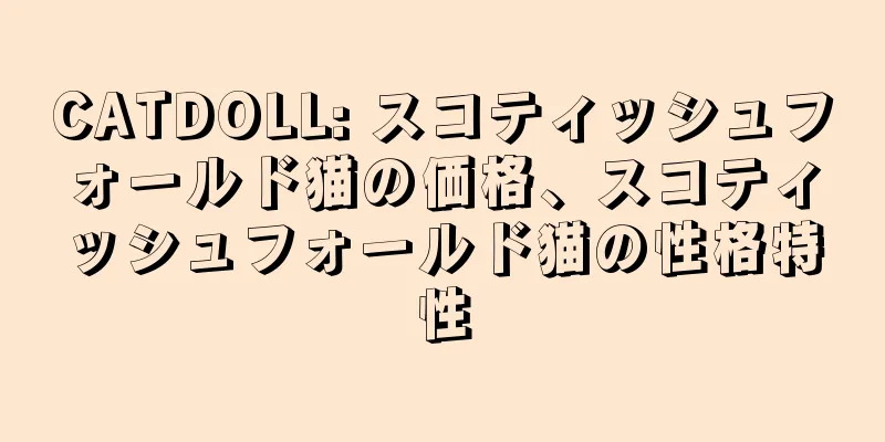 CATDOLL: スコティッシュフォールド猫の価格、スコティッシュフォールド猫の性格特性