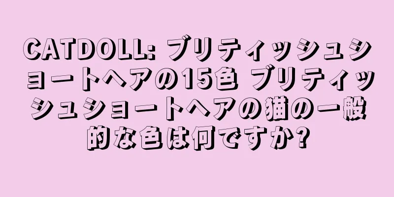 CATDOLL: ブリティッシュショートヘアの15色 ブリティッシュショートヘアの猫の一般的な色は何ですか?