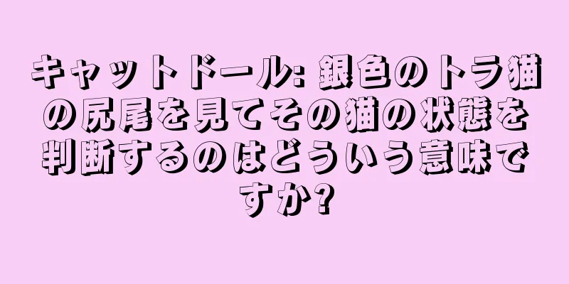 キャットドール: 銀色のトラ猫の尻尾を見てその猫の状態を判断するのはどういう意味ですか?