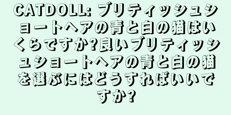 CATDOLL: ブリティッシュショートヘアの青と白の猫はいくらですか?良いブリティッシュショートヘアの青と白の猫を選ぶにはどうすればいいですか?