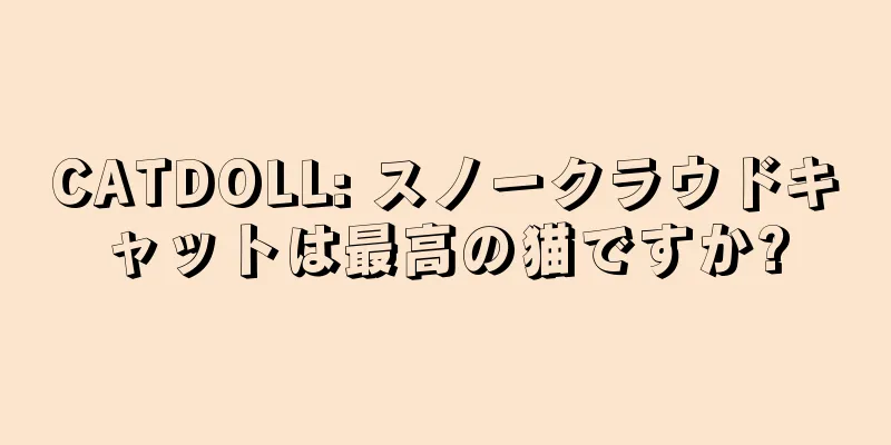 CATDOLL: スノークラウドキャットは最高の猫ですか?