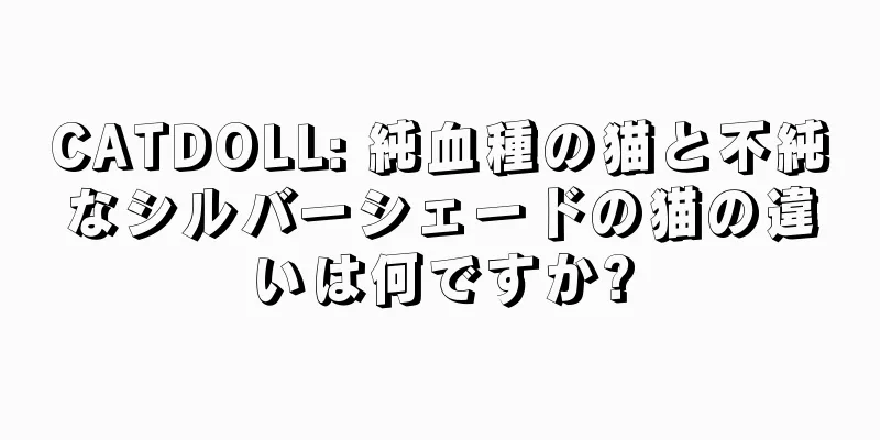 CATDOLL: 純血種の猫と不純なシルバーシェードの猫の違いは何ですか?