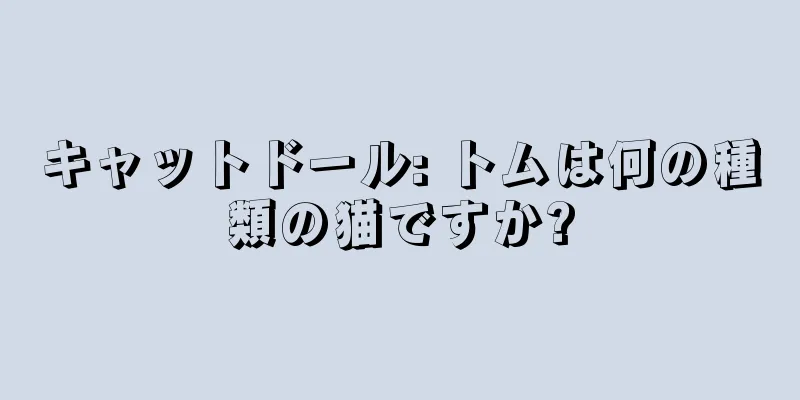 キャットドール: トムは何の種類の猫ですか?