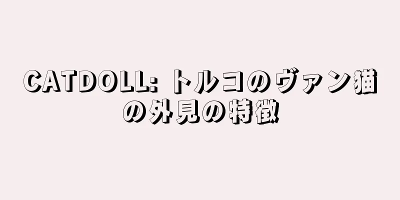 CATDOLL: トルコのヴァン猫の外見の特徴