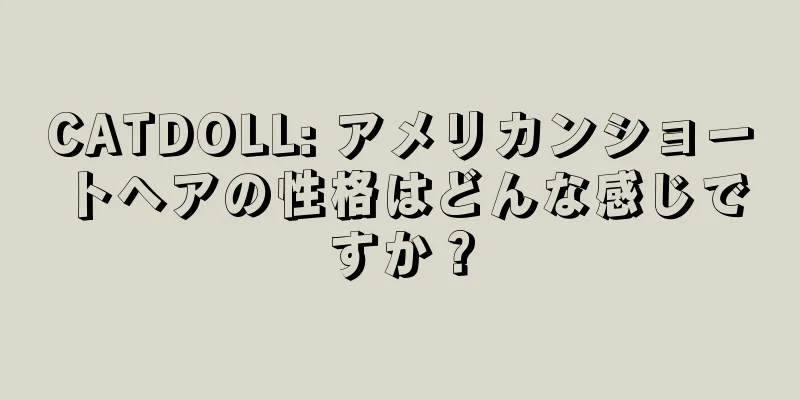 CATDOLL: アメリカンショートヘアの性格はどんな感じですか？