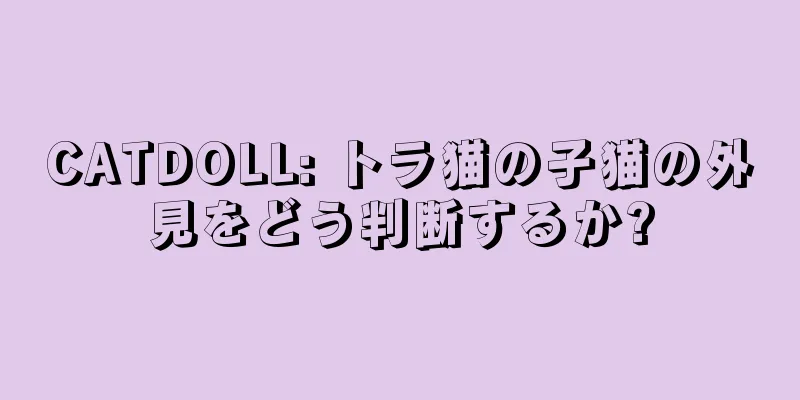 CATDOLL: トラ猫の子猫の外見をどう判断するか?