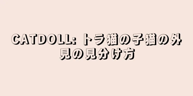CATDOLL: トラ猫の子猫の外見の見分け方