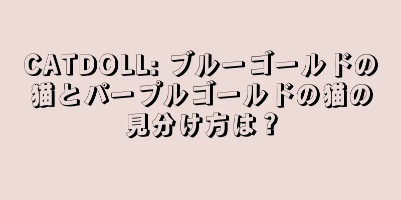 CATDOLL: ブルーゴールドの猫とパープルゴールドの猫の見分け方は？