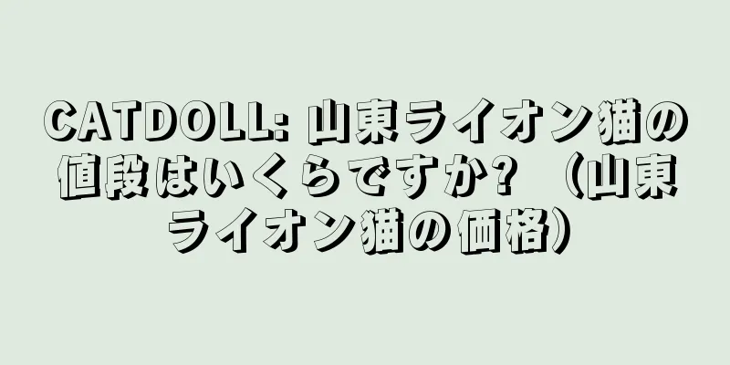 CATDOLL: 山東ライオン猫の値段はいくらですか? （山東ライオン猫の価格）