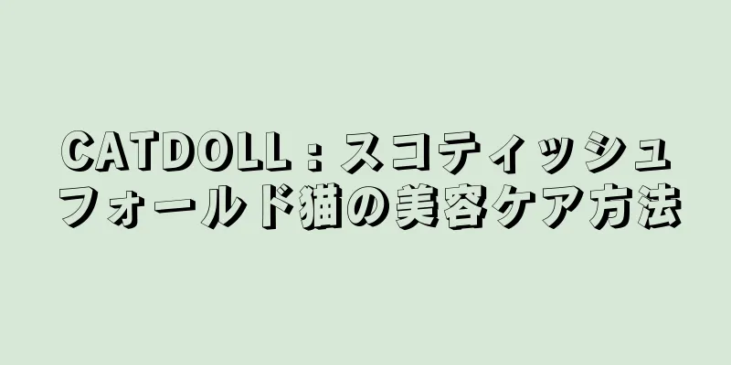 CATDOLL : スコティッシュフォールド猫の美容ケア方法