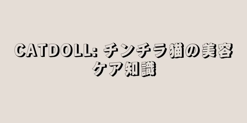 CATDOLL: チンチラ猫の美容ケア知識