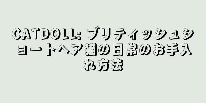 CATDOLL: ブリティッシュショートヘア猫の日常のお手入れ方法