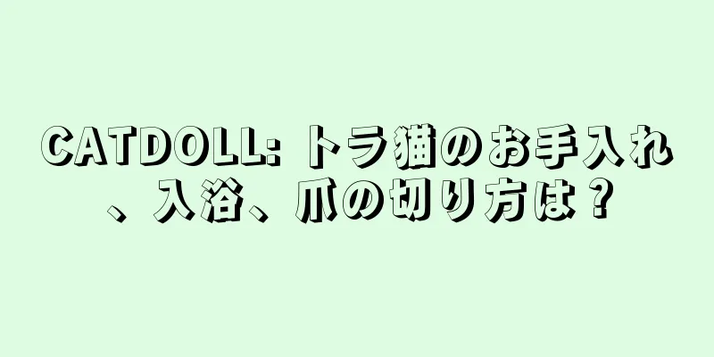CATDOLL: トラ猫のお手入れ、入浴、爪の切り方は？
