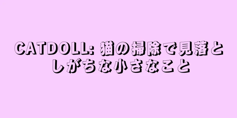 CATDOLL: 猫の掃除で見落としがちな小さなこと