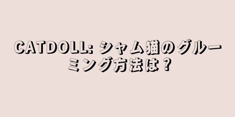 CATDOLL: シャム猫のグルーミング方法は？