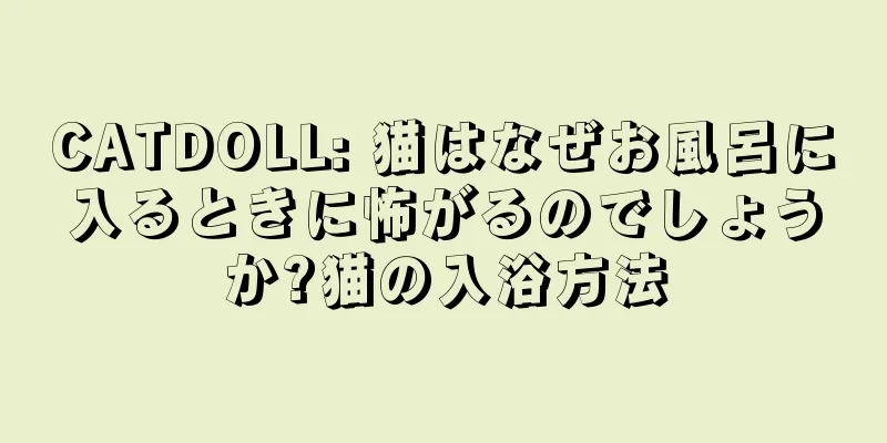 CATDOLL: 猫はなぜお風呂に入るときに怖がるのでしょうか?猫の入浴方法