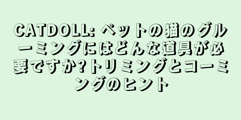 CATDOLL: ペットの猫のグルーミングにはどんな道具が必要ですか?トリミングとコーミングのヒント