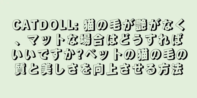 CATDOLL: 猫の毛が艶がなく、マットな場合はどうすればいいですか?ペットの猫の毛の質と美しさを向上させる方法