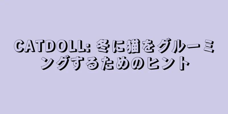 CATDOLL: 冬に猫をグルーミングするためのヒント