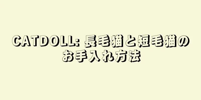 CATDOLL: 長毛猫と短毛猫のお手入れ方法