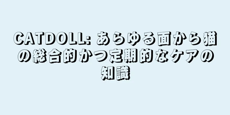 CATDOLL: あらゆる面から猫の総合的かつ定期的なケアの知識
