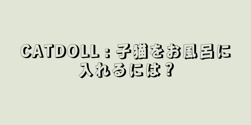 CATDOLL : 子猫をお風呂に入れるには？