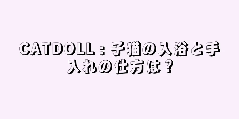 CATDOLL : 子猫の入浴と手入れの仕方は？