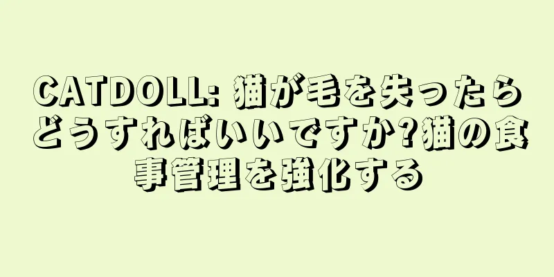 CATDOLL: 猫が毛を失ったらどうすればいいですか?猫の食事管理を強化する